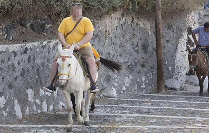 Turistas pesados se les prohíbe montar en burros