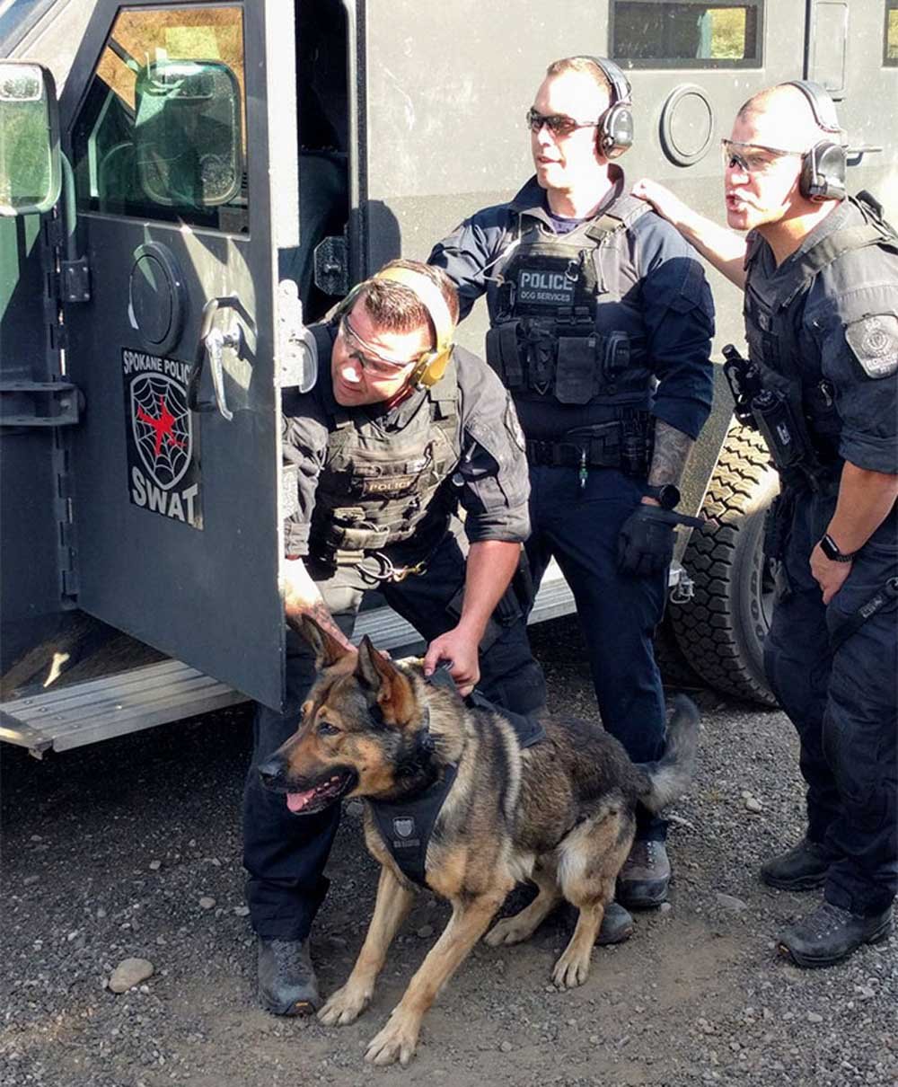 La unidad canina de la policía de Vancouver creó este increíble calendario benéfico para el 2019 20 Unidad policial de vancouver