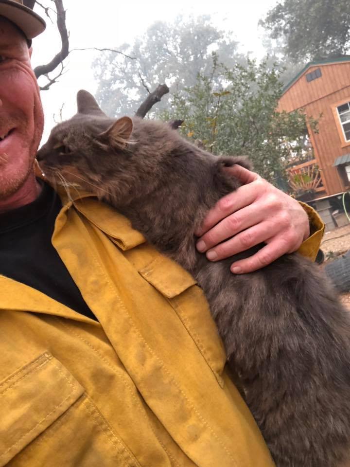 Gato no se separa de Ryan Gato no se separa de Ryan