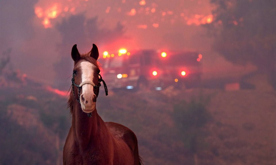 Incendios forestales en California