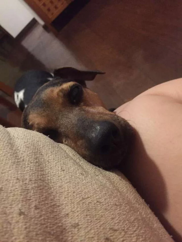 Jake buscando familiares