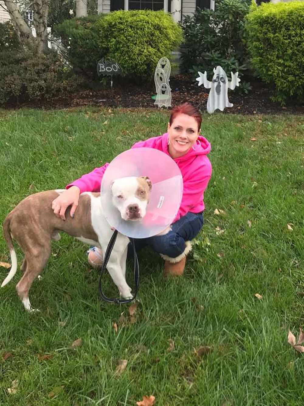 Este pitbull fue encontrado atado a un árbol con una cadena tan apretada que apenas podía moverse 12 Max