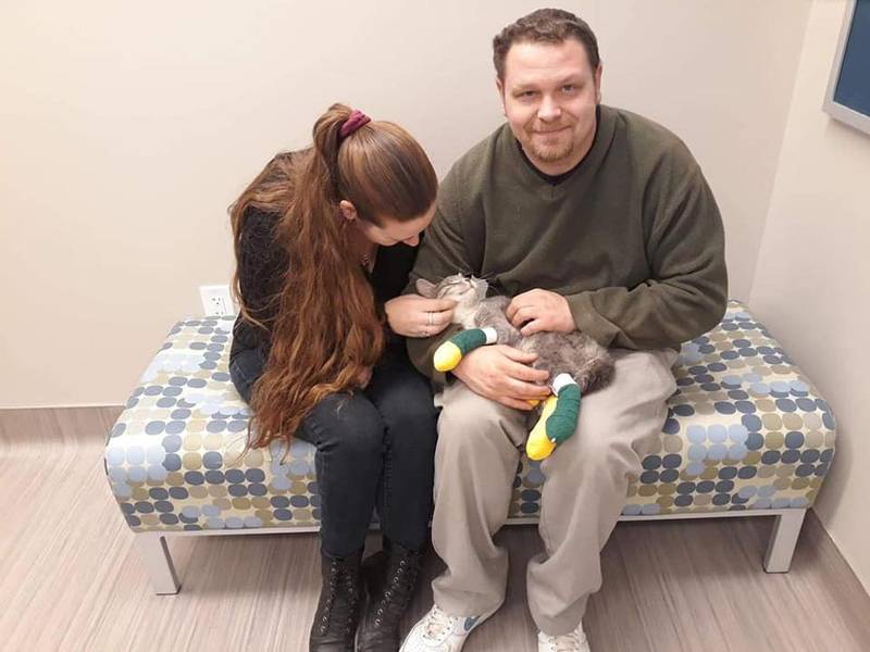 Gatito que sobrevivió a un incendio forestal nunca pensó que volvería a ver a su madre 5 Mayson y sus padres