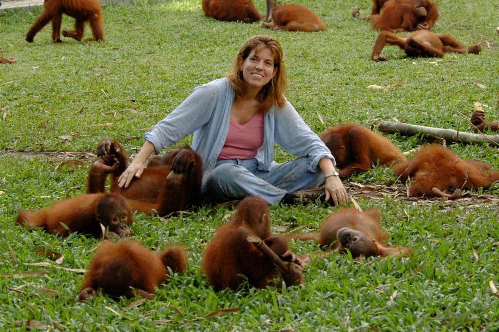 Esta orangután fue obligada a trabajar como esclava sexual en un burdel 9 Michelle
