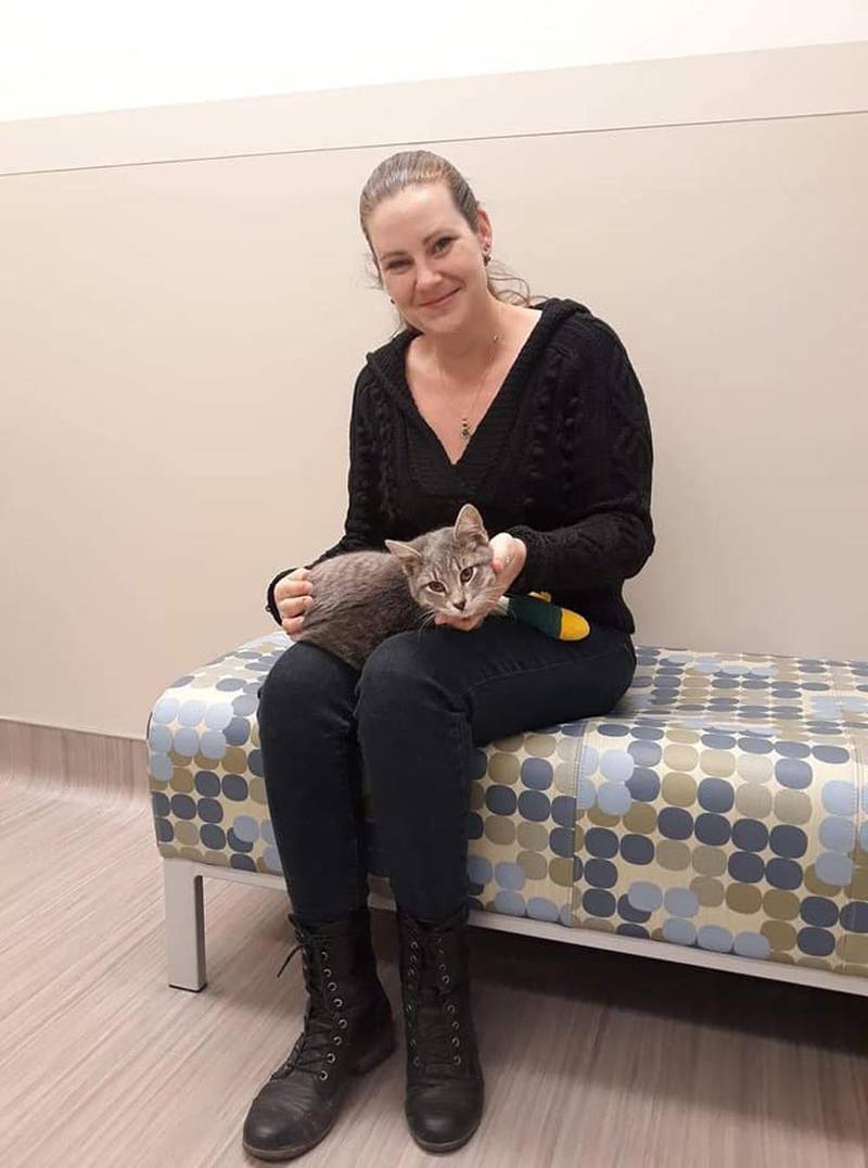 Gatito que sobrevivió a un incendio forestal nunca pensó que volvería a ver a su madre 4 Ping y Mayson