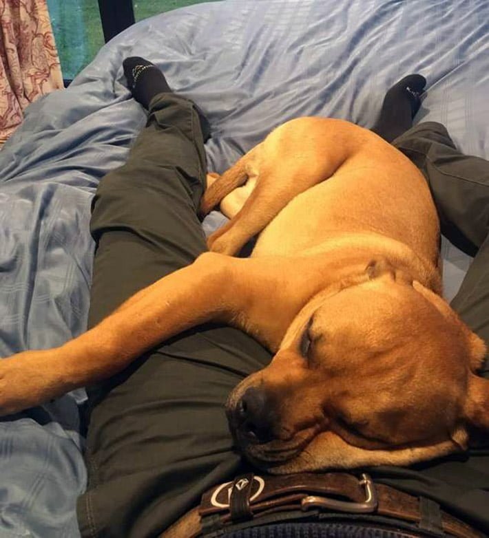 Stanley durmiendo Stanley durmiendo