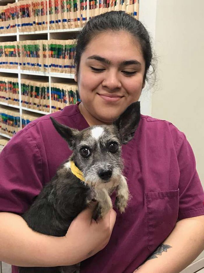 Treasure perrita