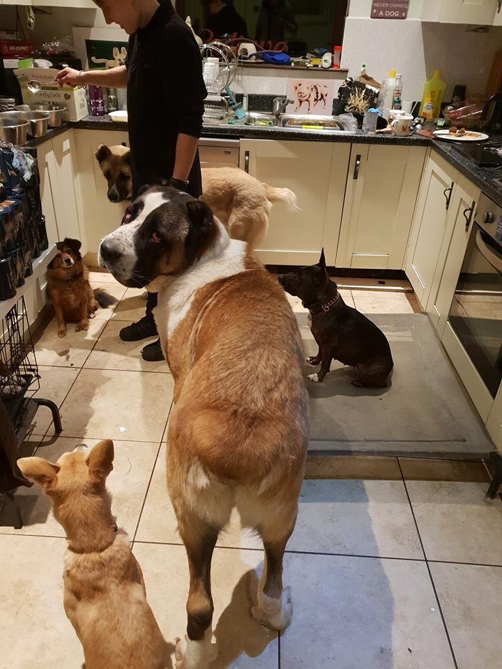 Winston y su familia