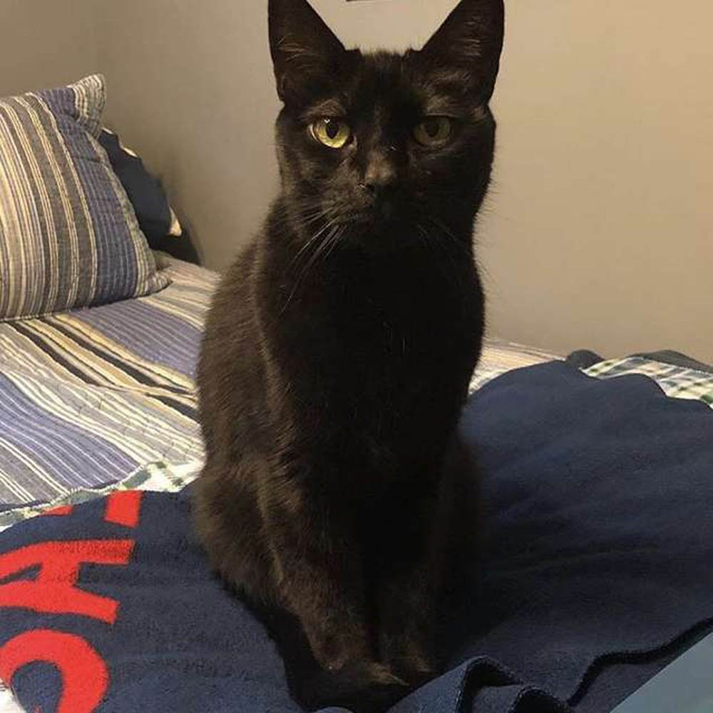 Zeus