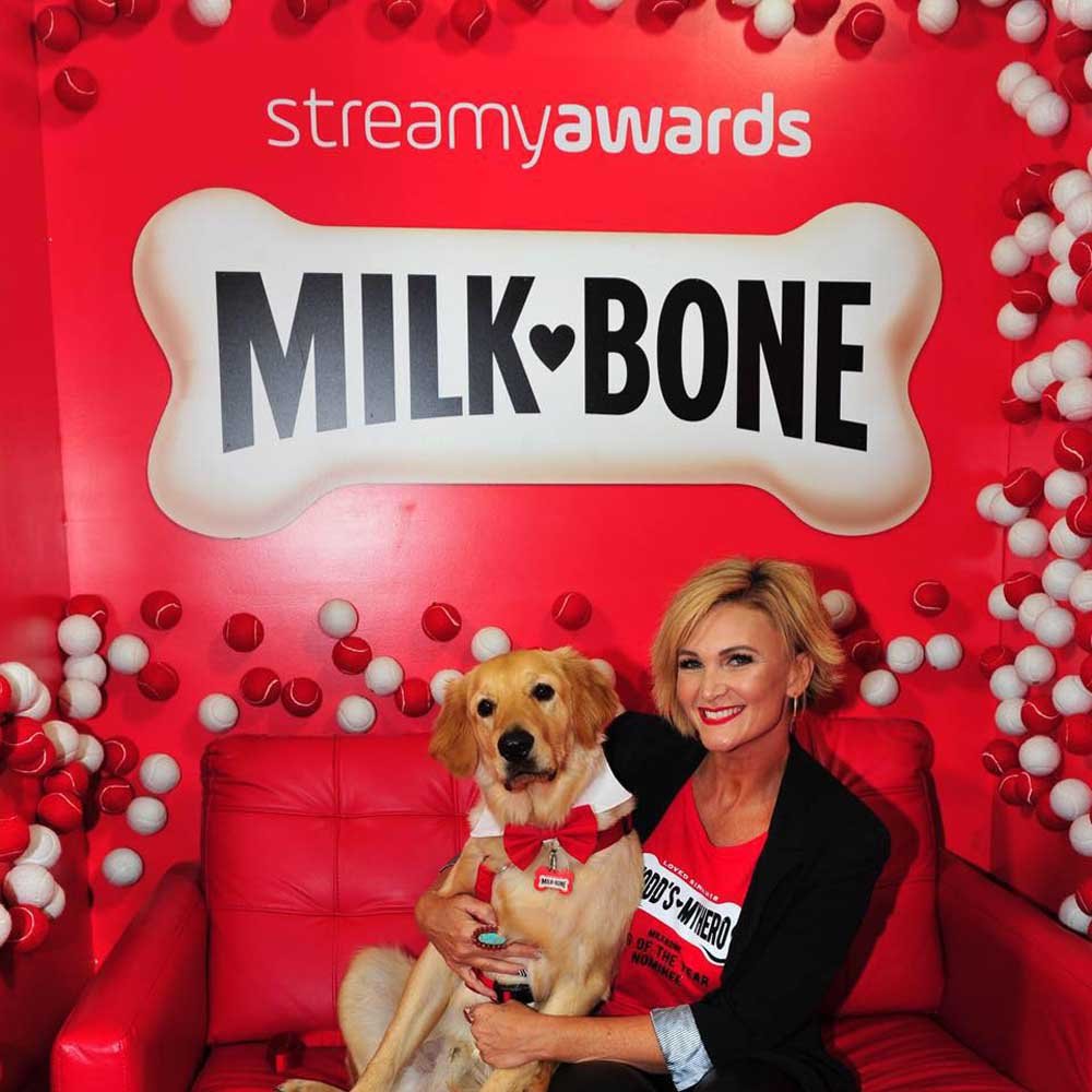 Perrito héroe que salvó a su mamá del ataque de una serpiente recibe el premio como el mejor perro del año 9 todd es un héroe