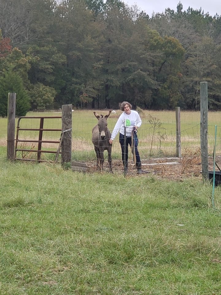 El actor Jeffrey Dean Morgan adoptó un burro y un emu que son inseparables 6 Centro de rescate