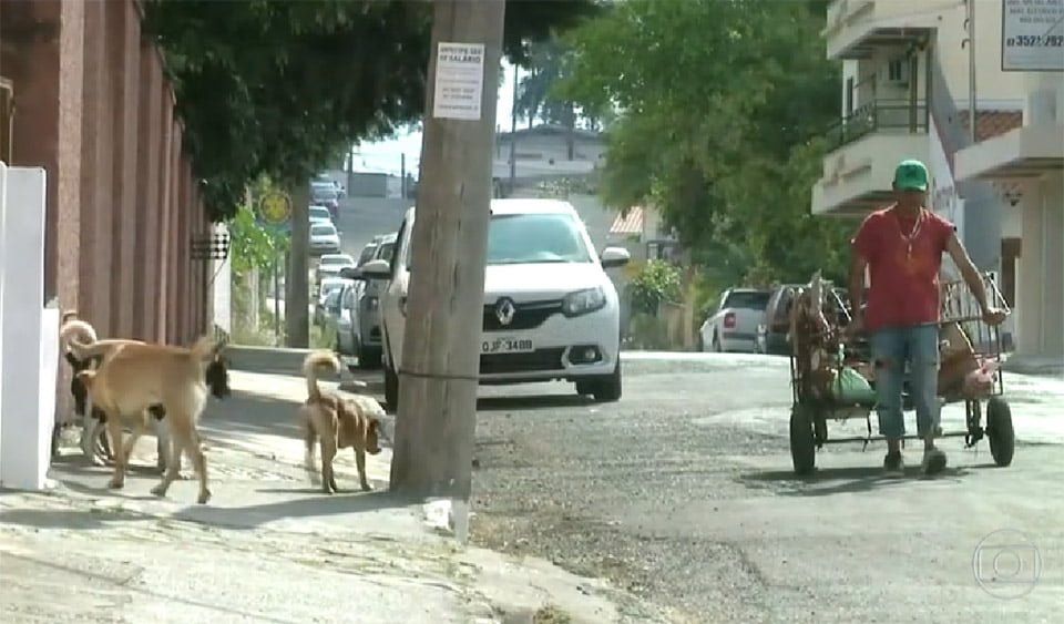 Cézar y sus perros