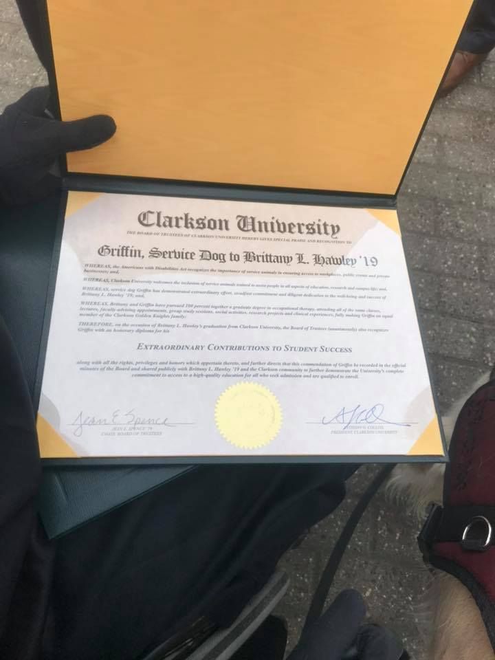 Diploma de Griffin