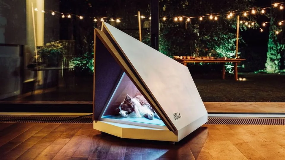 Ford crea caseta para perros que reduce el ruido Ford crea caseta para perros que reduce el ruido