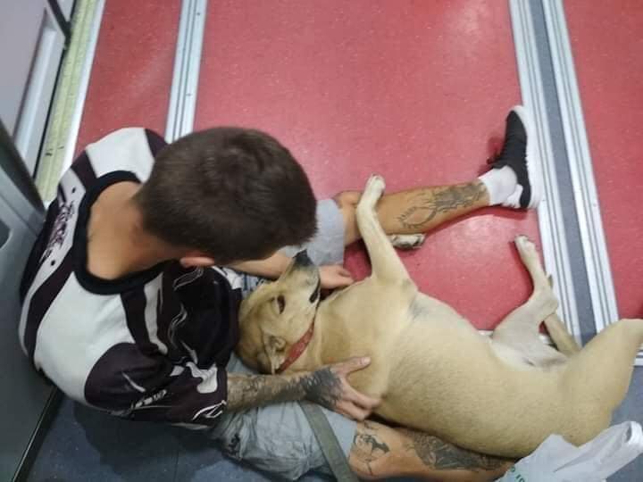 Hombre sin hogar y su perro