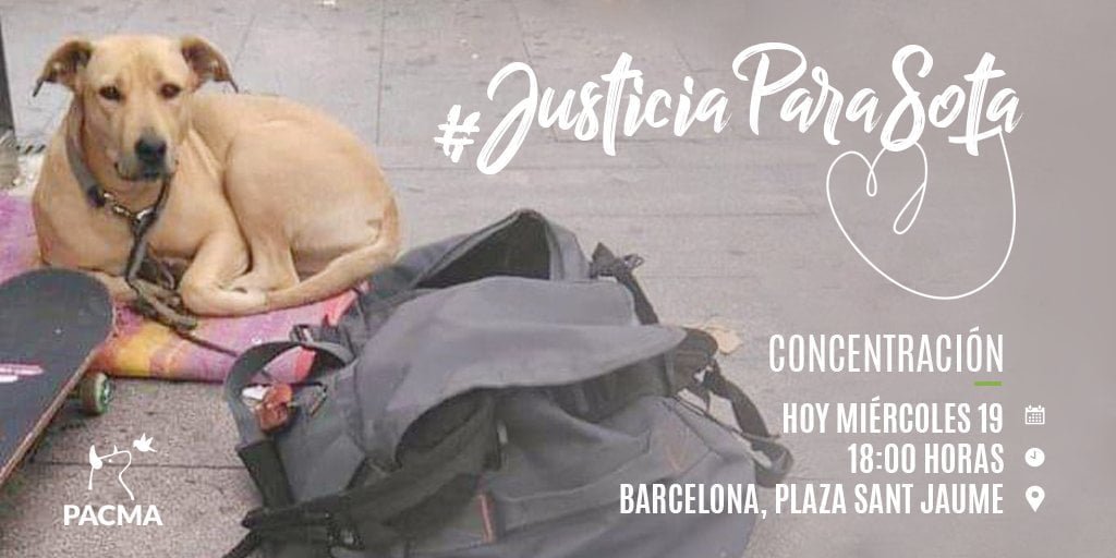 Justicia para Sota