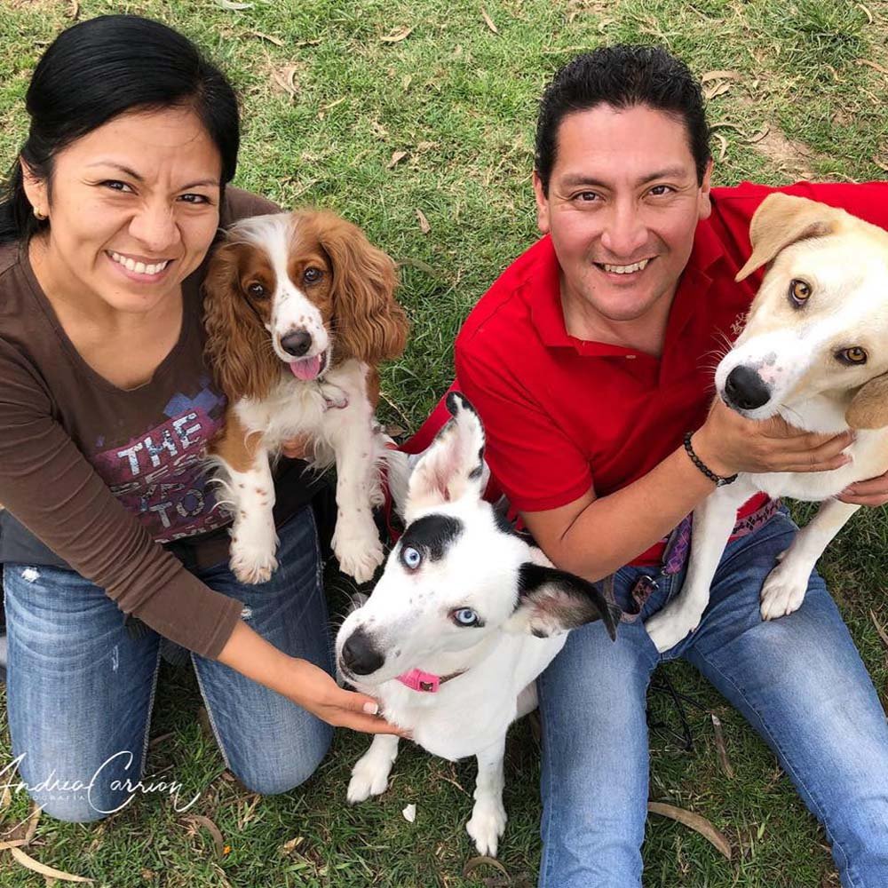 La nueva familia de Ramsés