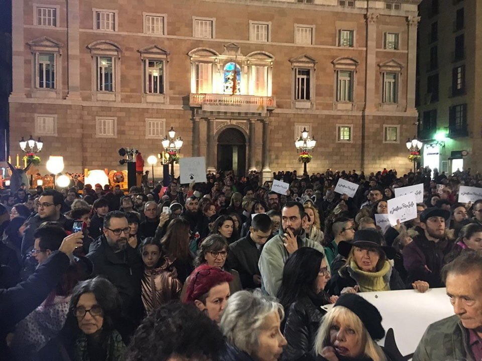 Manifestantes