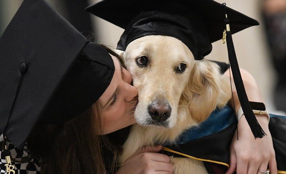 Perro de servicio se gradúa con honores de la Universidad