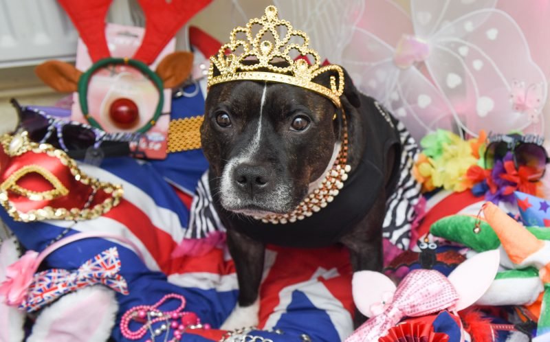 Princess Cleo Princess Cleo