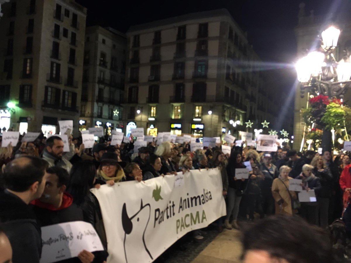 Protesta por Sota