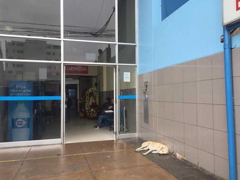 Ramsés afuera del hospital