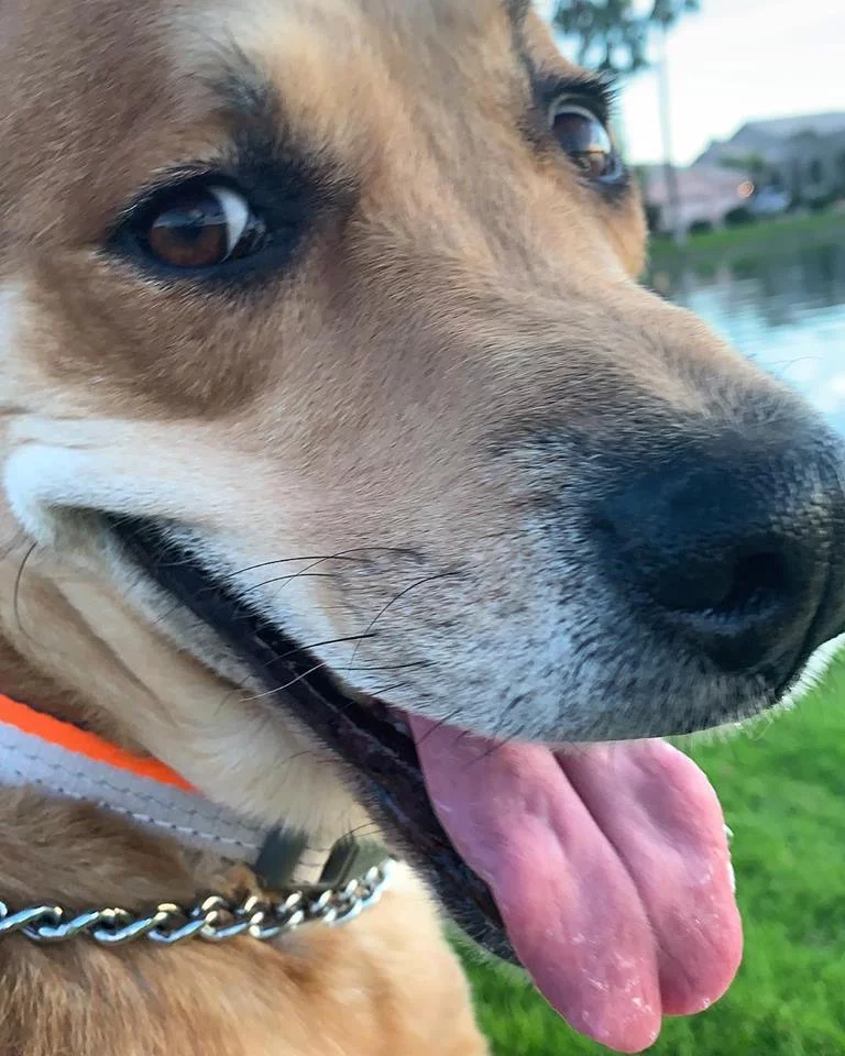 Wall-e feliz Wall-e feliz