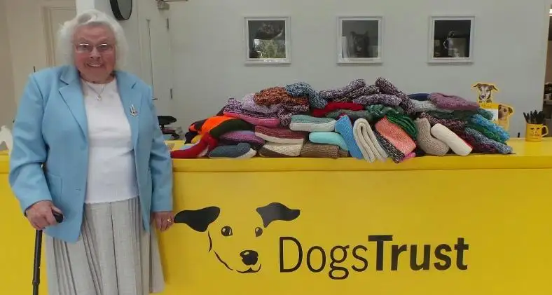 Abuelita de 89 años teje mantas y abrigos para perros del refugio