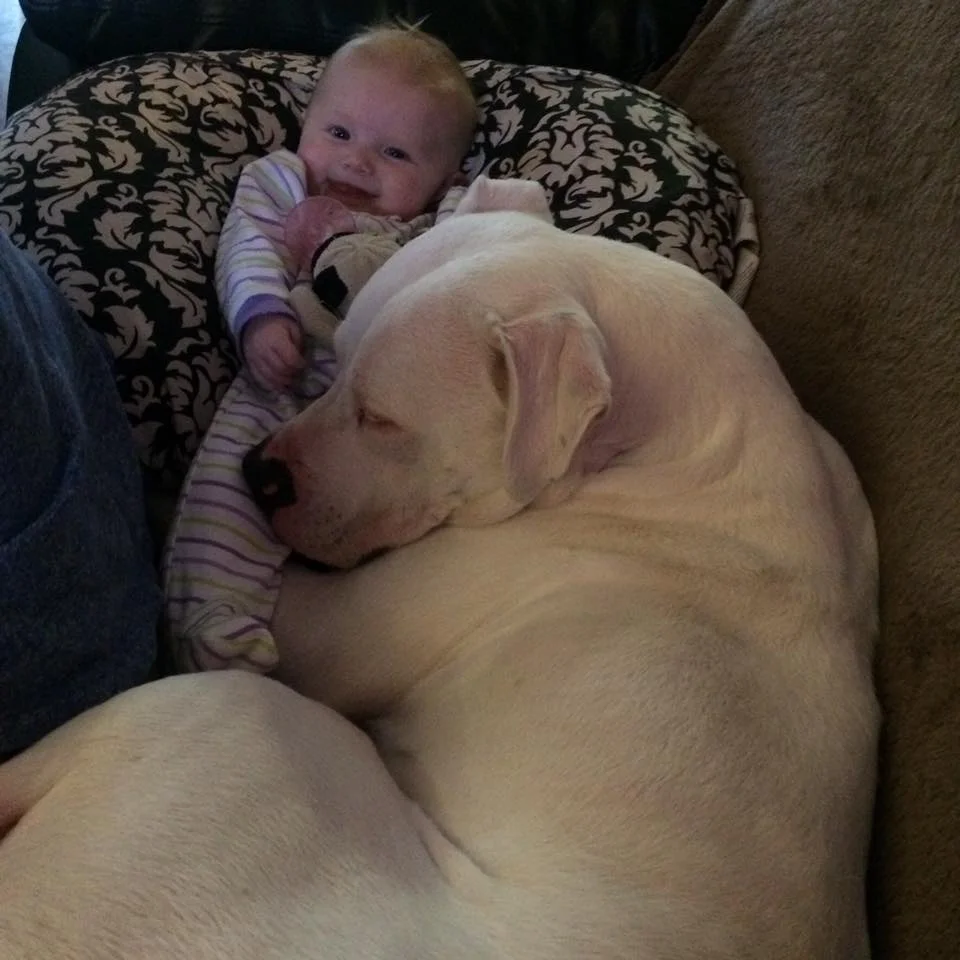 Adalynn y Fury Adalynn y Fury