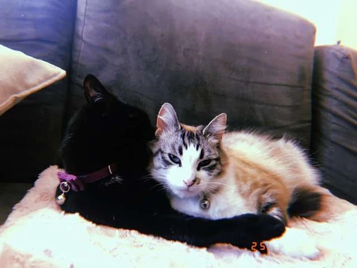 Alesana y su amiga Sen Alesana y su amiga Sen