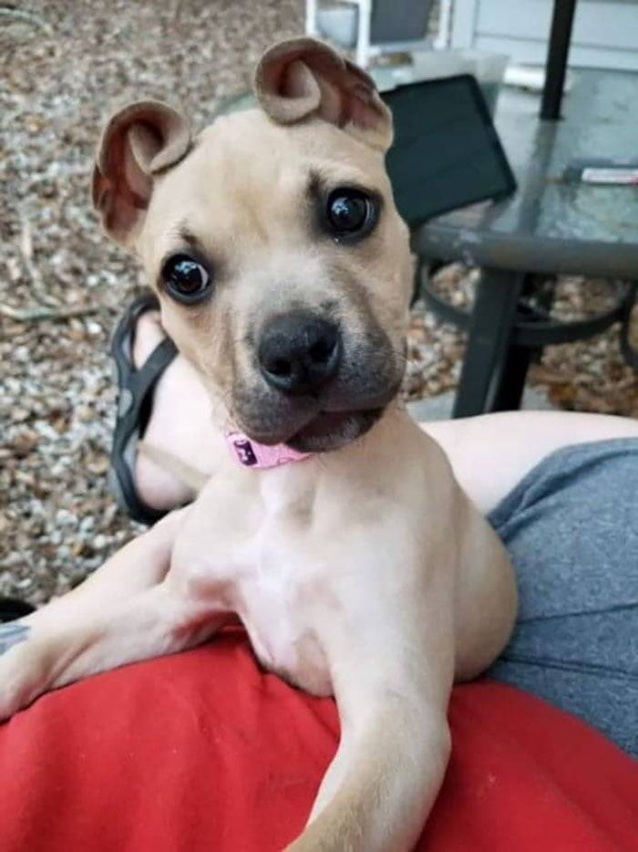 Cinnamon Cinnamon