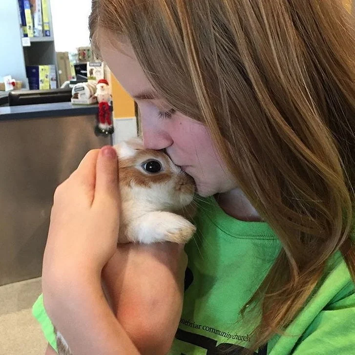 Conejo da besos Conejo da besos