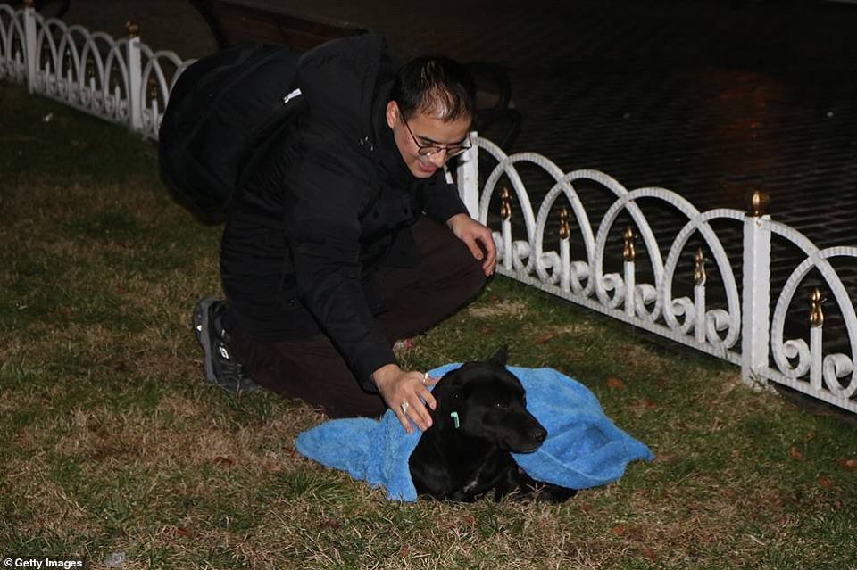 Huseyin Yurtseven abrigando un perro