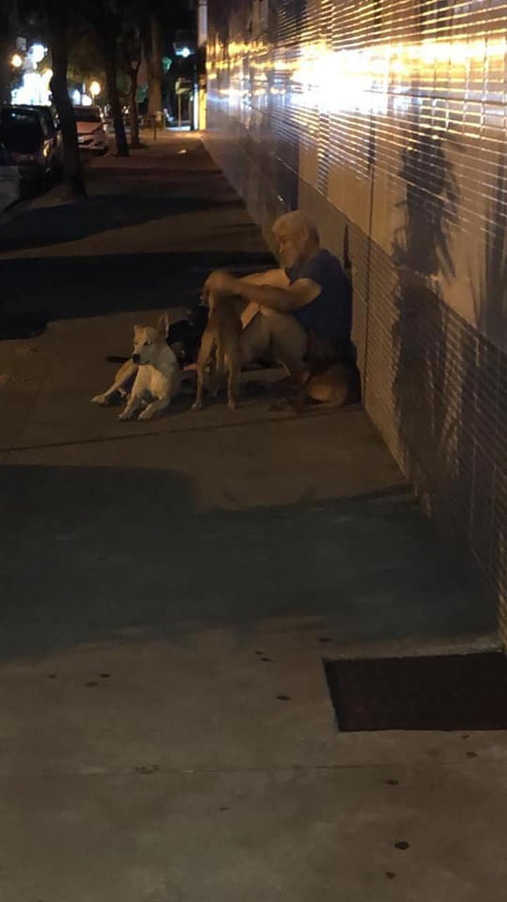 Luiz y sus perros Luiz y sus perros