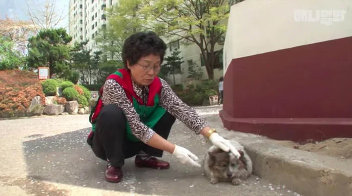 Mujer alimenta a Bokshil