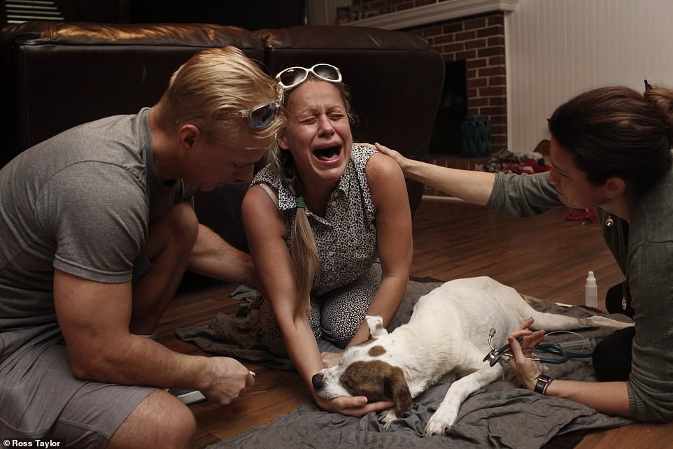 Olesya Lykovi llora la muerte de su perro Olesya Lykovi llora la muerte de su perro