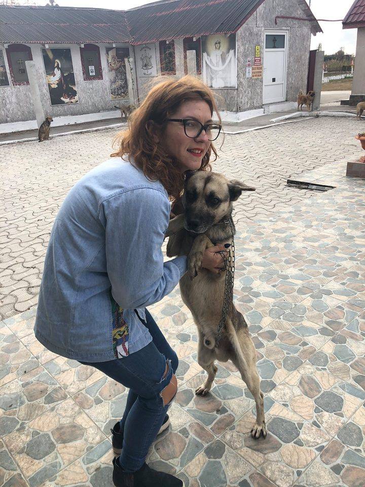 Perro agradece a rescatista