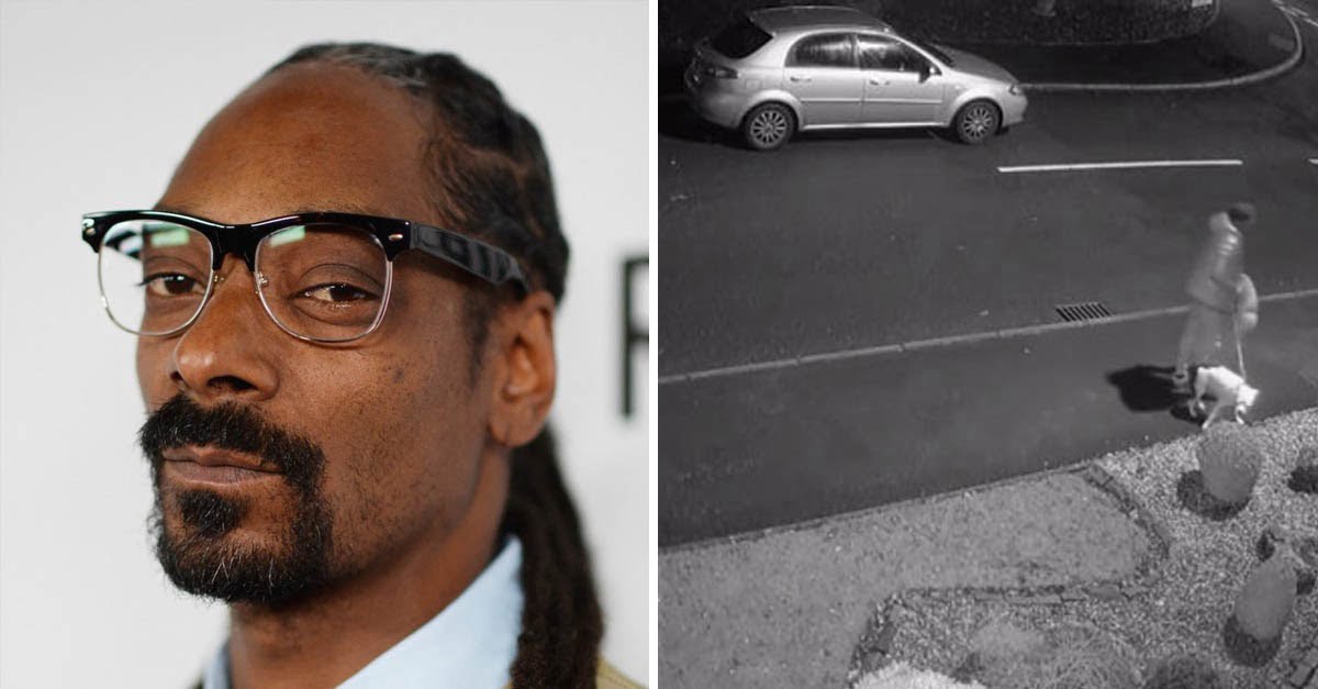 Snoop Dogg ofrece un hogar al perro abandonado justo antes de Navidad