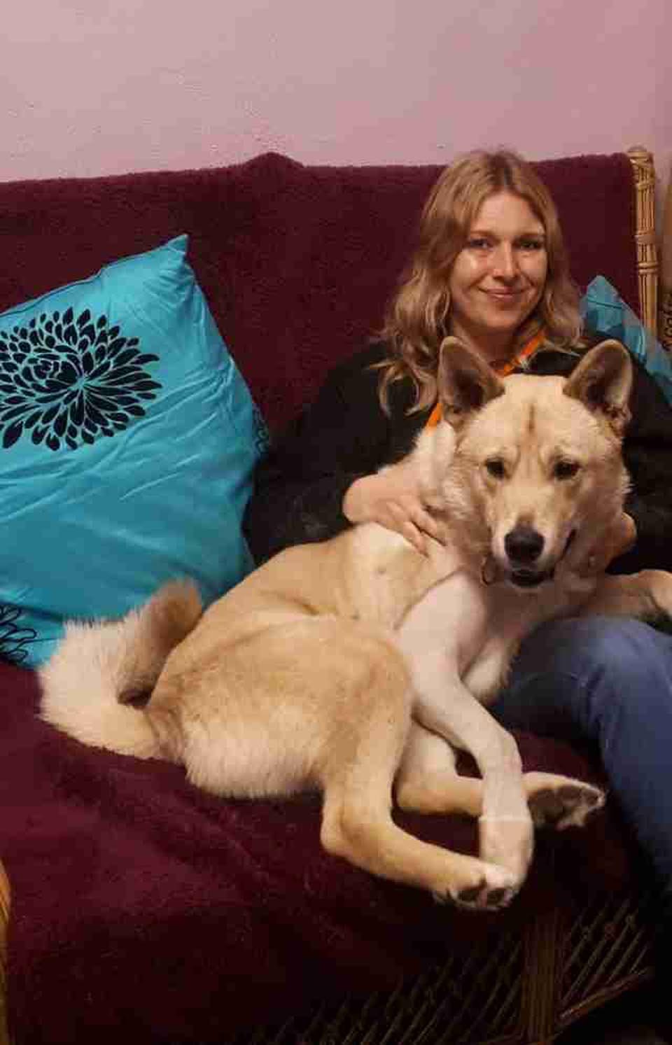 Perrito atropellado esperó a que alguien lo ayudara y así conoció a su nueva mamá 10 Thor y su madre