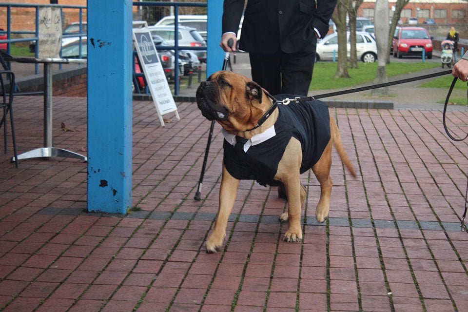 Bruce en la boda
