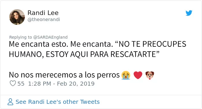 Comentarios 2