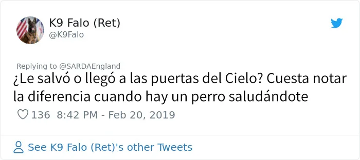 Comentarios
