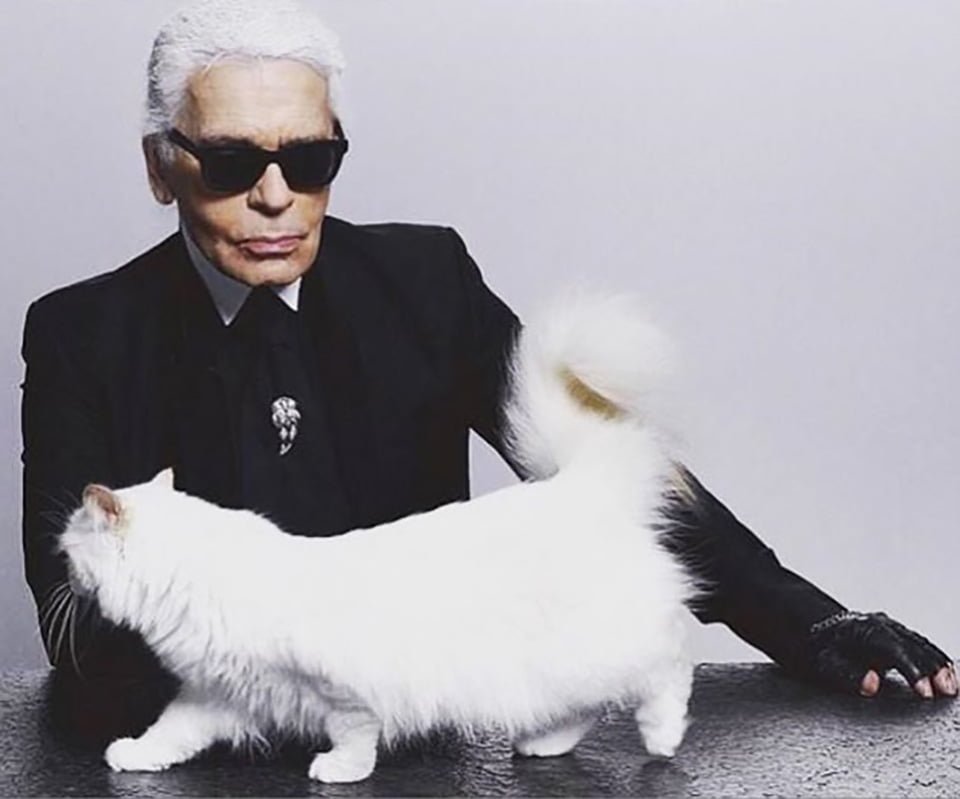 Diseñador aleman y su gatita