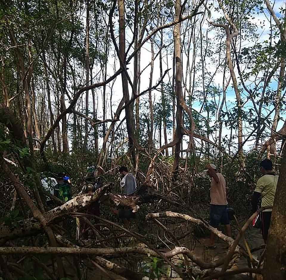 Ballena jorobada muerta aparece misteriosamente en la selva amazónica 8 En busca de la ballena muerta en selva amazonica
