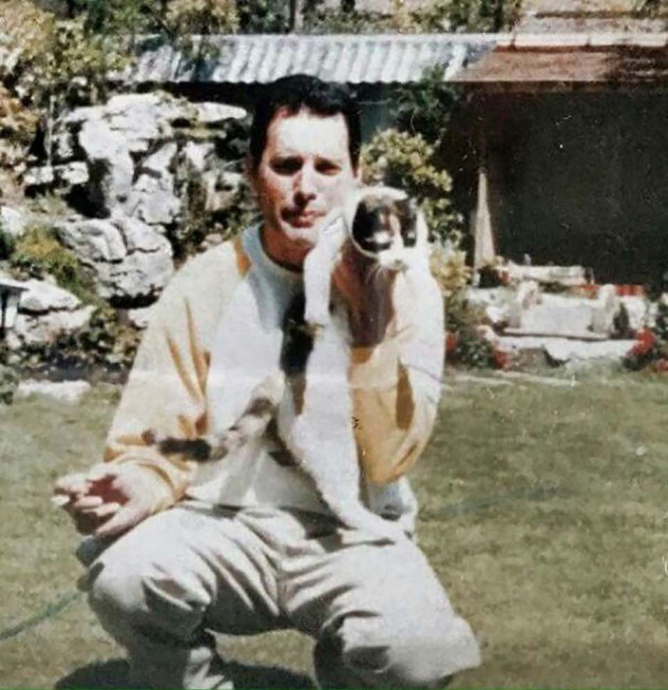 Freddie Mercury y sus gatos, a los que amó como si fueran sus propios hijos 3 Freddie Mercury amaba a cada uno de sus gatos