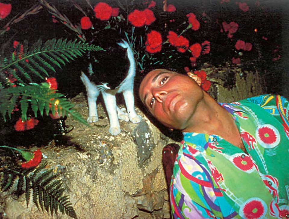 Freddie Mercury y sus gatos, a los que amó como si fueran sus propios hijos 9 Gatito y flores