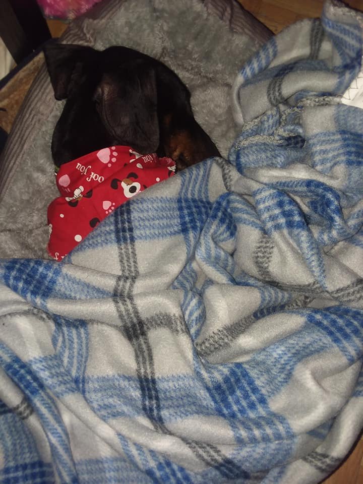 Jimmy dormido