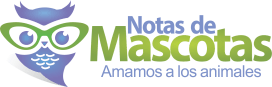Notas de Mascotas