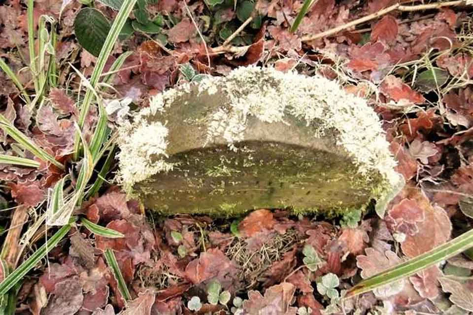 Hombre encuentra una lápida en medio del bosque con un dulce mensaje 6 Lápida de mas de 130 años