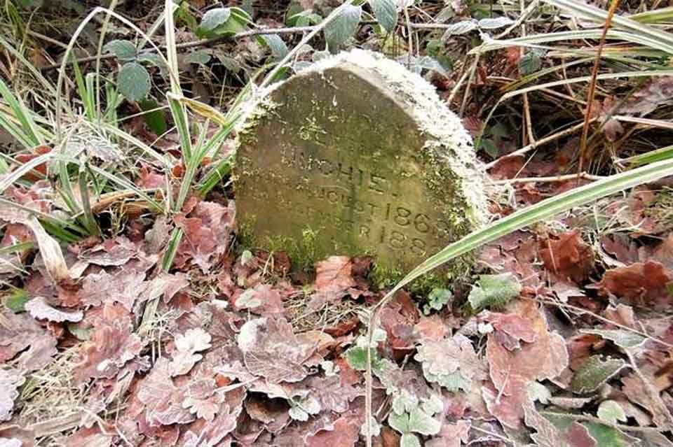 Hombre encuentra una lápida en medio del bosque con un dulce mensaje 7 Lápida